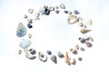 ÃÂ¡ircle of small marine colored blue pink purple seashells of different sizes and shapes on white background. Design